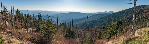 View from Clingman's Dome