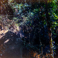Jungle Boulder